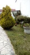 Photo n°4
