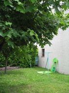 Photo n°6