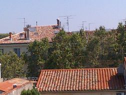 Photo n°4