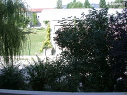 Photo n°6