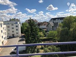 Photo n°4