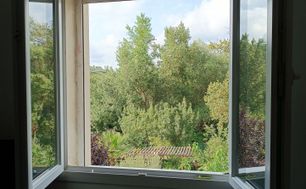 Photo n°6