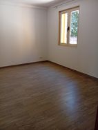 Photo n°6