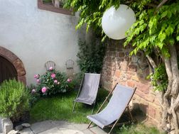 Photo n°6