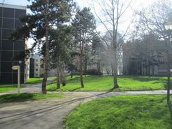 Photo n°1