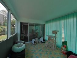 Photo n°6