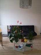 Photo n°1