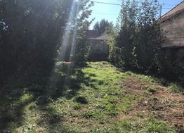 Photo n°6