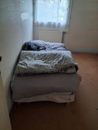 Photo n°4