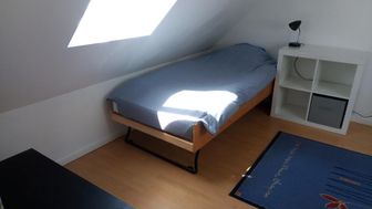 Photo n°1