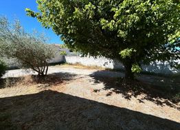 Photo n°3