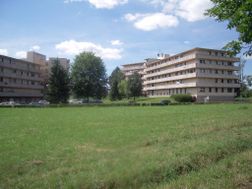 Photo n°1