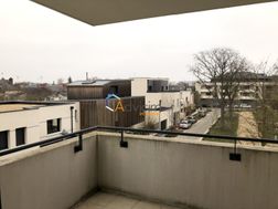 Photo n°1