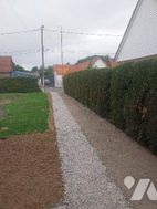 Photo n°6