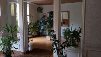 Photo n°4