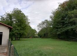 Photo n°4