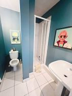 Photo n°12