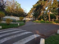 Photo n°5