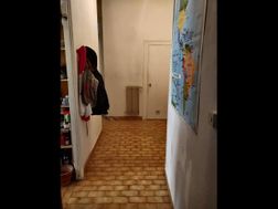 Photo n°6