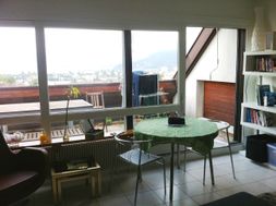 Photo n°4
