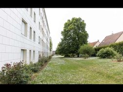 Photo n°5