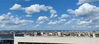 Photo n°6