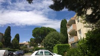 Photo n°1