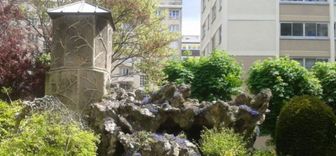 Photo n°6
