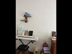 Photo n°4
