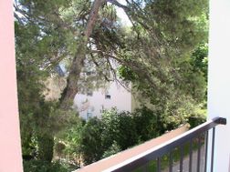 Photo n°4