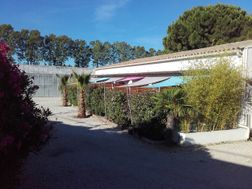 Photo n°6