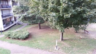 Photo n°3