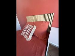 Photo n°6