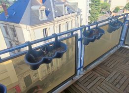 Photo n°5