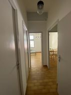 Photo n°6