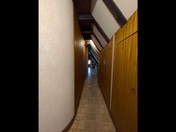 Photo n°4