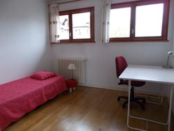 Photo n°3