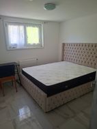 Photo n°5