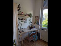 Photo n°3