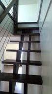 Photo n°6