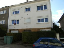 Photo n°6