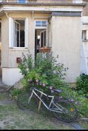 Photo n°2