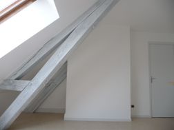 Photo n°6