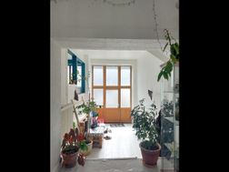 Photo n°1