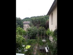 Photo n°4