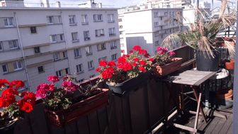 Photo n°3