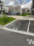 Photo n°5