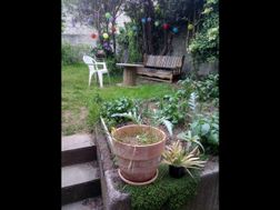 Photo n°3