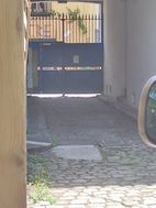 Photo n°5