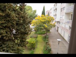 Photo n°16